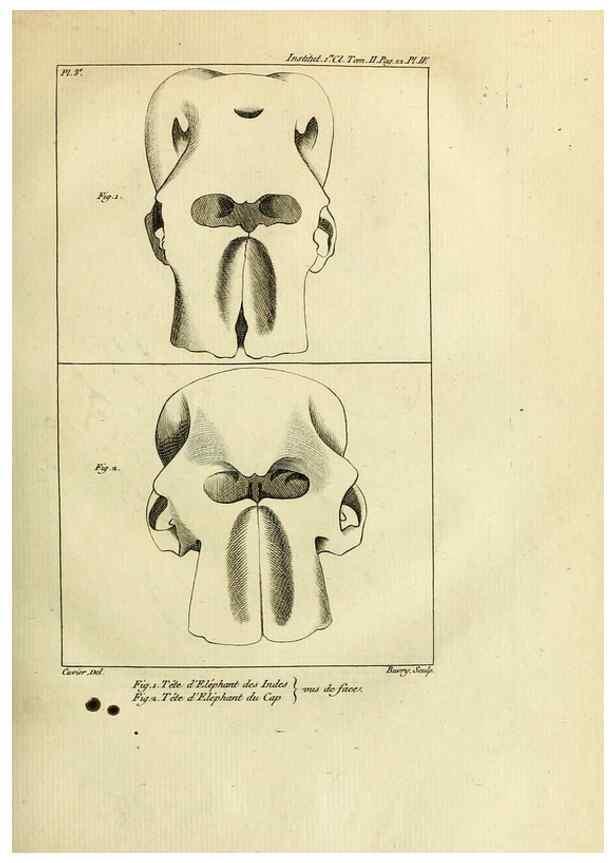 Reproducción/Reproduction 21015237116: Mémoires de l'Institut des Sciences et Arts.. Paris.