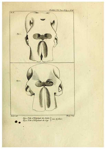 Reproducción/Reproduction 21015237116: Mémoires de l'Institut des Sciences et Arts.. Paris.