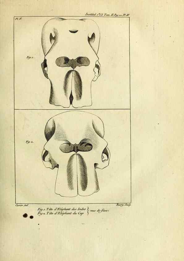 Reproducción/Reproduction 21015237116: Mémoires de l'Institut des Sciences et Arts.. Paris.