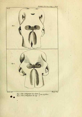 Reproducción/Reproduction 21015237116: Mémoires de l'Institut des Sciences et Arts.. Paris.