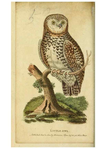 Reproducción/Reproduction 19963400390: The Naturalist's Pocket Magazine or compleat cabinet of the curiosities and beauties of nature.. London.