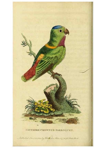 Reproducción/Reproduction 20143350782: The Naturalist's Pocket Magazine or compleat cabinet of the curiosities and beauties of nature.. London.