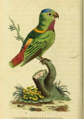Reproducción/Reproduction 20143350782: The Naturalist's Pocket Magazine or compleat cabinet of the curiosities and beauties of nature.. London.