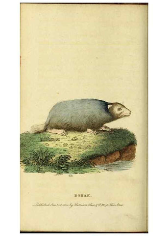 Reproducción/Reproduction 20156998041: The Naturalist's Pocket Magazine or compleat cabinet of the curiosities and beauties of nature.. London.