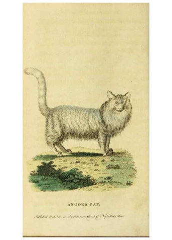 Reproducción/Reproduction 20125173866: The Naturalist's Pocket Magazine or compleat cabinet of the curiosities and beauties of nature.. London.