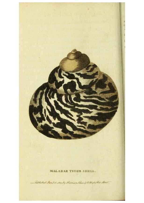 Reproducción/Reproduction 20151429865: The Naturalist's Pocket Magazine or compleat cabinet of the curiosities and beauties of nature.. London.