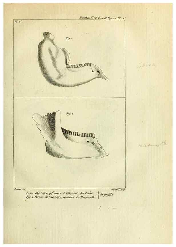 Reproducción/Reproduction 21049102761: Mémoires de l'Institut des Sciences et Arts.. Paris.