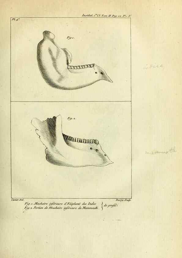 Reproducción/Reproduction 21049102761: Mémoires de l'Institut des Sciences et Arts.. Paris.