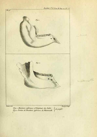 Reproducción/Reproduction 21049102761: Mémoires de l'Institut des Sciences et Arts.. Paris.