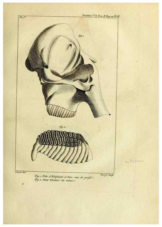 Reproducción/Reproduction 20853352070: Mémoires de l'Institut des Sciences et Arts.. Paris.