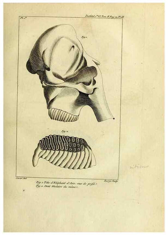 Reproducción/Reproduction 20853352070: Mémoires de l'Institut des Sciences et Arts.. Paris.