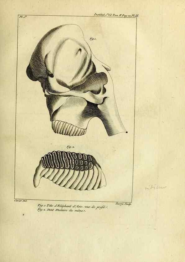 Reproducción/Reproduction 20853352070: Mémoires de l'Institut des Sciences et Arts.. Paris.