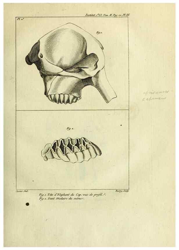 Reproducción/Reproduction 21031520492: Mémoires de l'Institut des Sciences et Arts.. Paris.