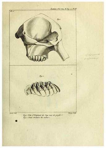Reproducción/Reproduction 21031520492: Mémoires de l'Institut des Sciences et Arts.. Paris.