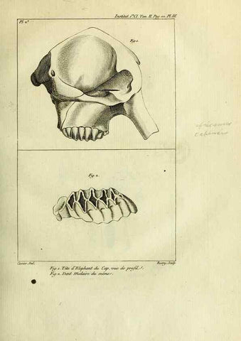 Reproducción/Reproduction 21031520492: Mémoires de l'Institut des Sciences et Arts.. Paris.