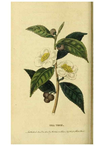 Reproducción/Reproduction 20151393105: The Naturalist's Pocket Magazine or compleat cabinet of the curiosities and beauties of nature.. London.