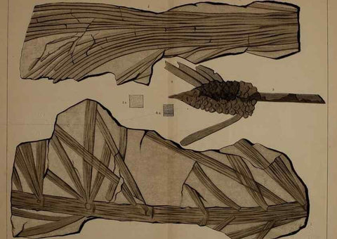 Reproducción/Reproduction 22110367195: Description of the coal flora of the Carboniferous formation in Pennsylvania and throughout the United States .... Harrisburg,Board of Commissioners for the Second Geological Survey,1879-84.