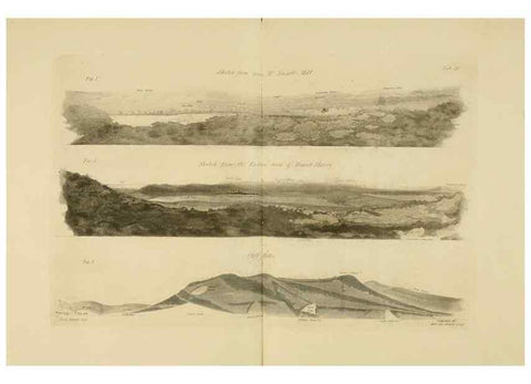 Reproducción/Reproduction 22110558445: The fossils of the South Downs :. London :L. Relfe,1822.