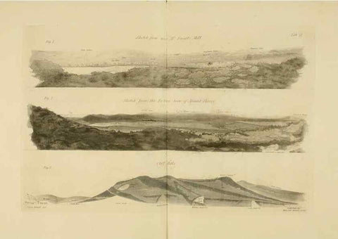 Reproducción/Reproduction 22110558445: The fossils of the South Downs :. London :L. Relfe,1822.