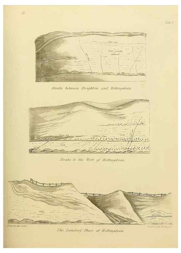 Reproducción/Reproduction 21489439333: The fossils of the South Downs :. London :L. Relfe,1822.