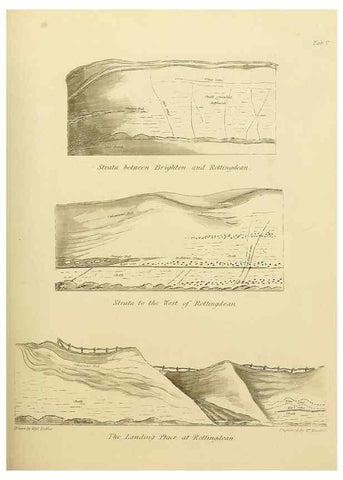 Reproducción/Reproduction 21489439333: The fossils of the South Downs :. London :L. Relfe,1822.