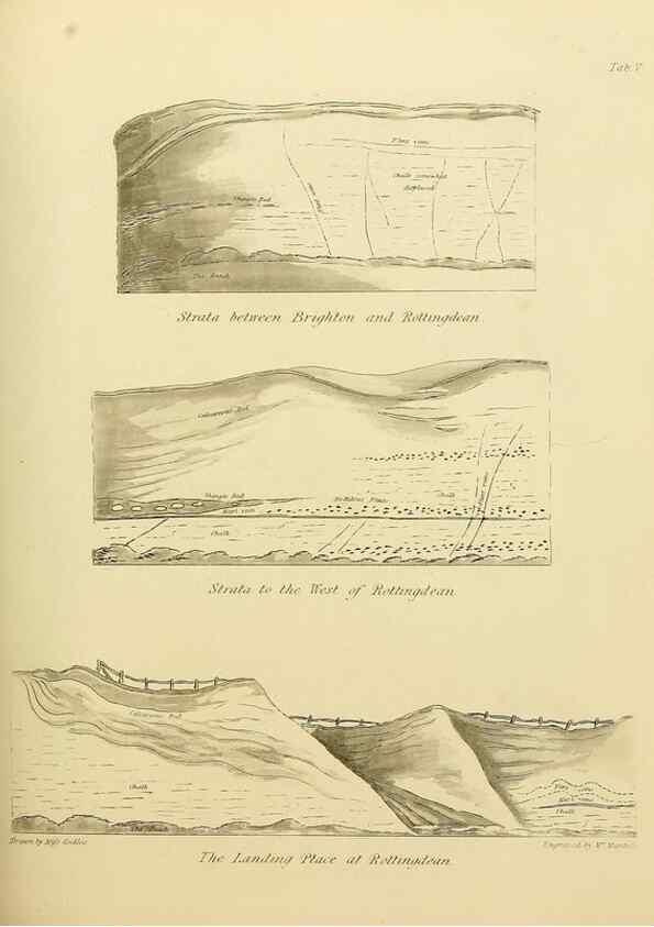 Reproducción/Reproduction 21489439333: The fossils of the South Downs :. London :L. Relfe,1822.
