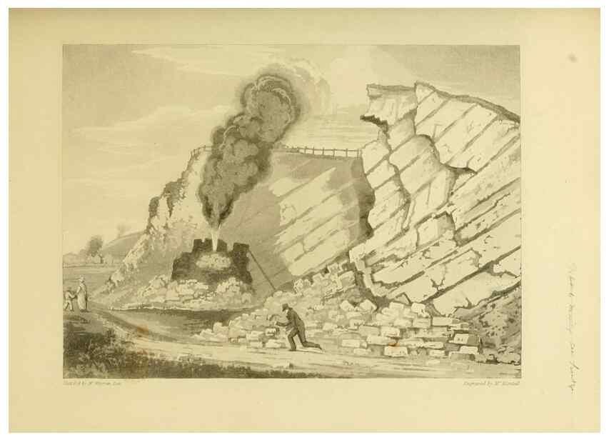 Reproducción/Reproduction 22098023812: The fossils of the South Downs :. London :L. Relfe,1822.