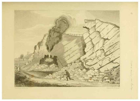 Reproducción/Reproduction 22098023812: The fossils of the South Downs :. London :L. Relfe,1822.