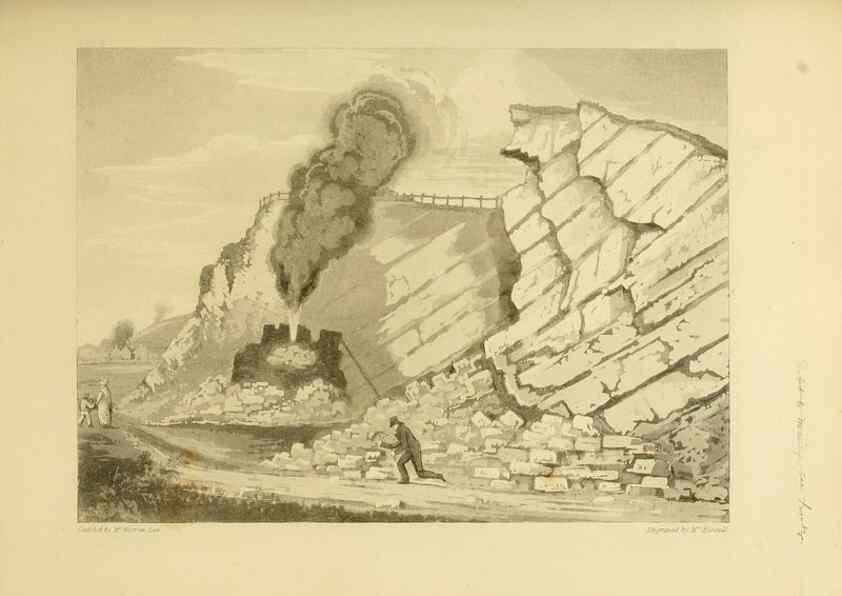 Reproducción/Reproduction 22098023812: The fossils of the South Downs :. London :L. Relfe,1822.