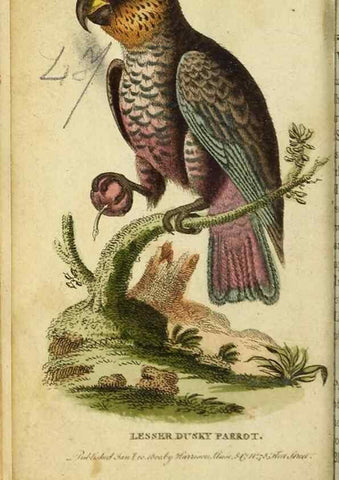 Reproducción/Reproduction 20151388195: The Naturalist's Pocket Magazine or compleat cabinet of the curiosities and beauties of nature.. London.