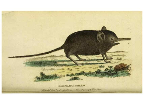 Reproducción/Reproduction 19963309758: The Naturalist's Pocket Magazine or compleat cabinet of the curiosities and beauties of nature.. London.