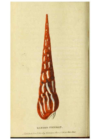Reproducción/Reproduction 20125117116: The Naturalist's Pocket Magazine or compleat cabinet of the curiosities and beauties of nature.. London.
