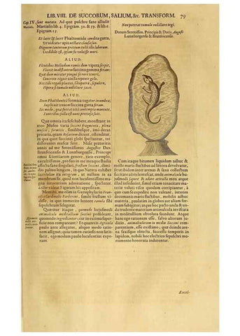 Reproducción/Reproduction 15482457149: Mundus subterraneus, in XII libros digestus :. Amstelodami :apud Joannem Janssonium à Waesberge & filios,1678.