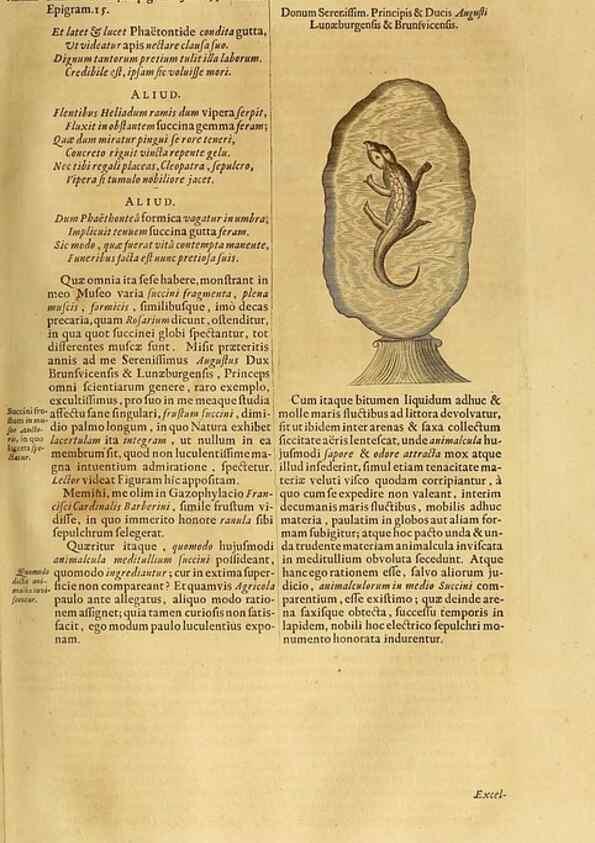 Reproducción/Reproduction 15482457149: Mundus subterraneus, in XII libros digestus :. Amstelodami :apud Joannem Janssonium à Waesberge & filios,1678.