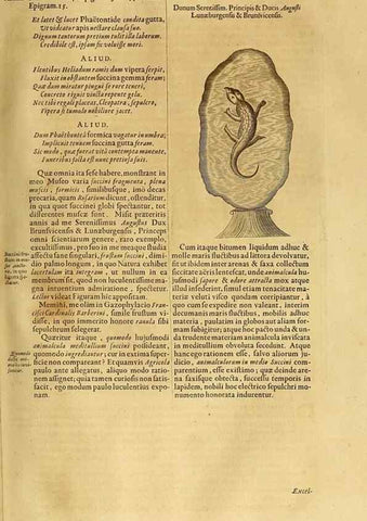 Reproducción/Reproduction 15482457149: Mundus subterraneus, in XII libros digestus :. Amstelodami :apud Joannem Janssonium à Waesberge & filios,1678.