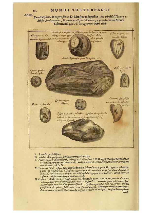 Reproducción/Reproduction 15645376726: Mundus subterraneus, in XII libros digestus :. Amstelodami :apud Joannem Janssonium à Waesberge & filios,1678.
