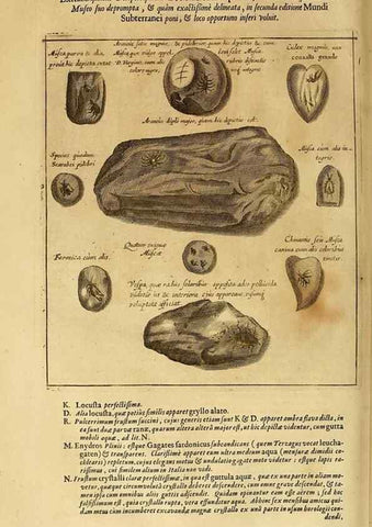 Reproducción/Reproduction 15645376726: Mundus subterraneus, in XII libros digestus :. Amstelodami :apud Joannem Janssonium à Waesberge & filios,1678.