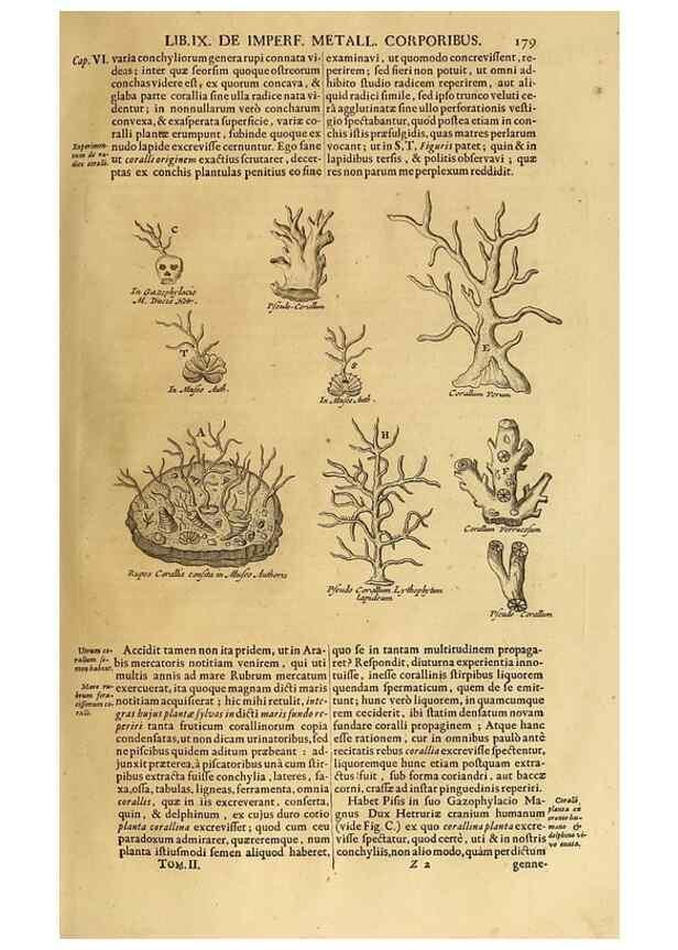 Reproducción/Reproduction 15483269417: Mundus subterraneus, in XII libros digestus :. Amstelodami :apud Joannem Janssonium à Waesberge & filios,1678.