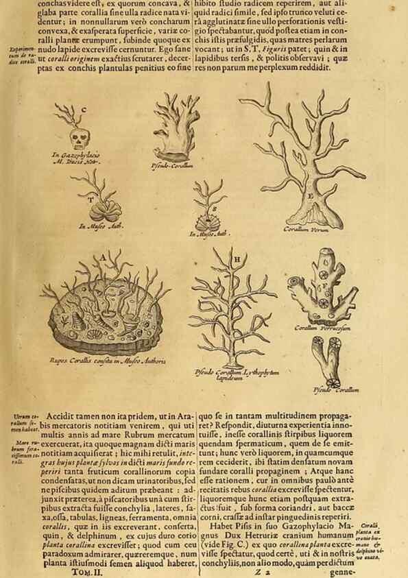 Reproducción/Reproduction 15483269417: Mundus subterraneus, in XII libros digestus :. Amstelodami :apud Joannem Janssonium à Waesberge & filios,1678.