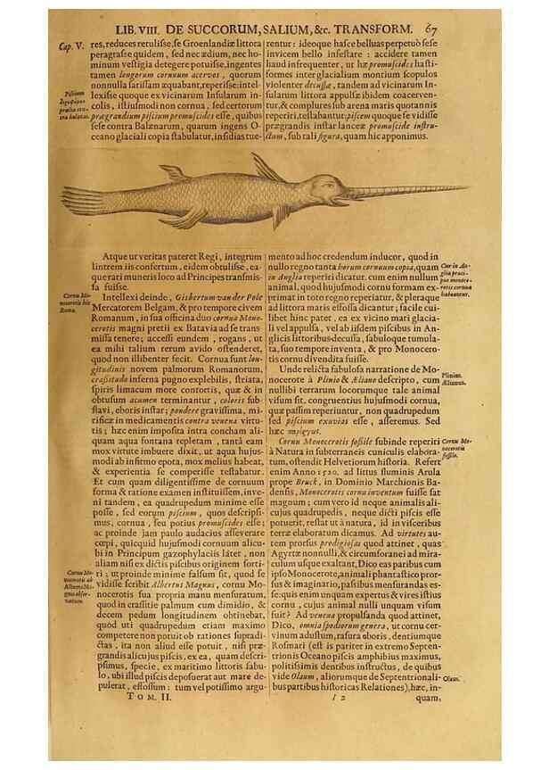 Reproducción/Reproduction 15482939588: Mundus subterraneus, in XII libros digestus :. Amstelodami :apud Joannem Janssonium à Waesberge & filios,1678.