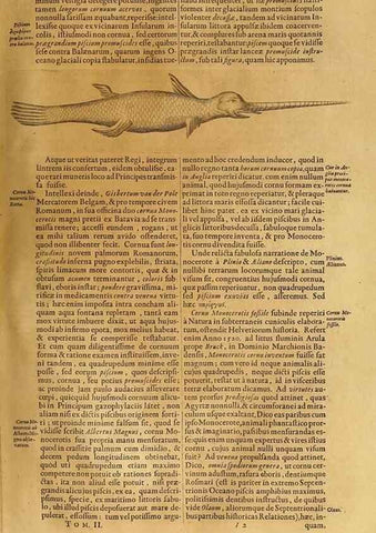 Reproducción/Reproduction 15482939588: Mundus subterraneus, in XII libros digestus :. Amstelodami :apud Joannem Janssonium à Waesberge & filios,1678.