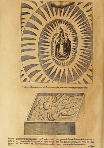 Reproducción/Reproduction 15666372311: Mundus subterraneus, in XII libros digestus :. Amstelodami :apud Joannem Janssonium à Waesberge & filios,1678.