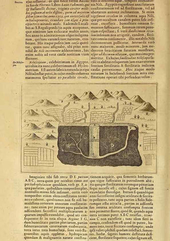 Reproducción/Reproduction 15666345911: Mundus subterraneus, in XII libros digestus :. Amstelodami :apud Joannem Janssonium à Waesberge & filios,1678.
