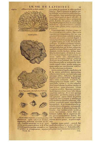 Reproducción/Reproduction 15645304326: Mundus subterraneus, in XII libros digestus :. Amstelodami :apud Joannem Janssonium à Waesberge & filios,1678.