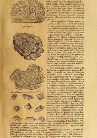 Reproducción/Reproduction 15645304326: Mundus subterraneus, in XII libros digestus :. Amstelodami :apud Joannem Janssonium à Waesberge & filios,1678.