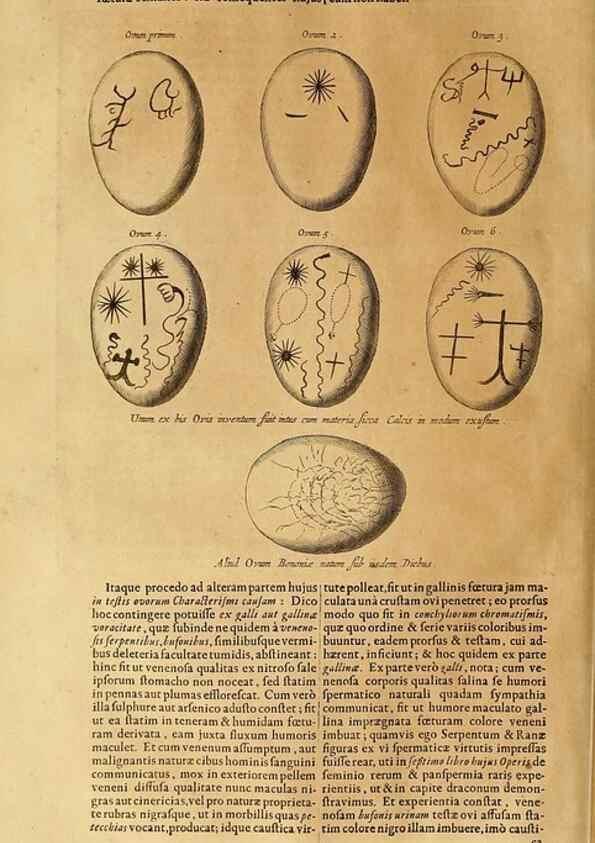 Reproducción/Reproduction 15645306206: Mundus subterraneus, in XII libros digestus :. Amstelodami :apud Joannem Janssonium à Waesberge & filios,1678.