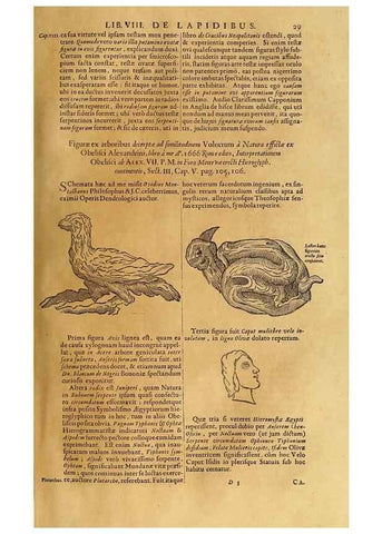 Reproducción/Reproduction 15669037515: Mundus subterraneus, in XII libros digestus :. Amstelodami :apud Joannem Janssonium à Waesberge & filios,1678.