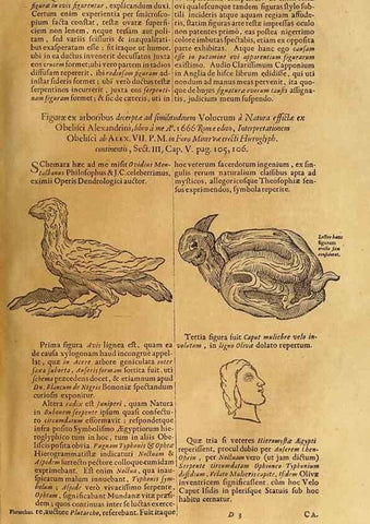 Reproducción/Reproduction 15669037515: Mundus subterraneus, in XII libros digestus :. Amstelodami :apud Joannem Janssonium à Waesberge & filios,1678.