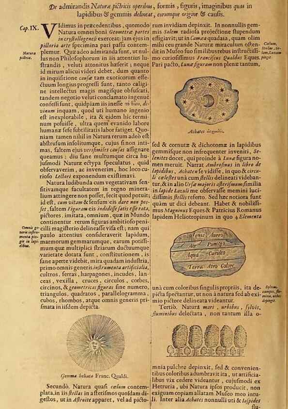 Reproducción/Reproduction 15483068807: Mundus subterraneus, in XII libros digestus :. Amstelodami :apud Joannem Janssonium à Waesberge & filios,1678.