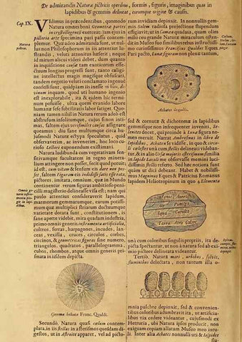 Reproducción/Reproduction 15483068807: Mundus subterraneus, in XII libros digestus :. Amstelodami :apud Joannem Janssonium à Waesberge & filios,1678.